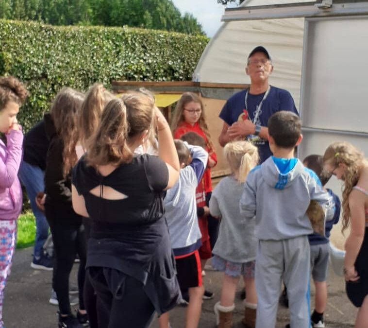 Day 2 – Adventure Farm Holiday