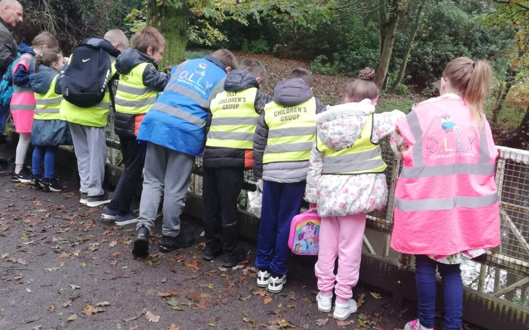 Croxteth Park – 1st November 2019