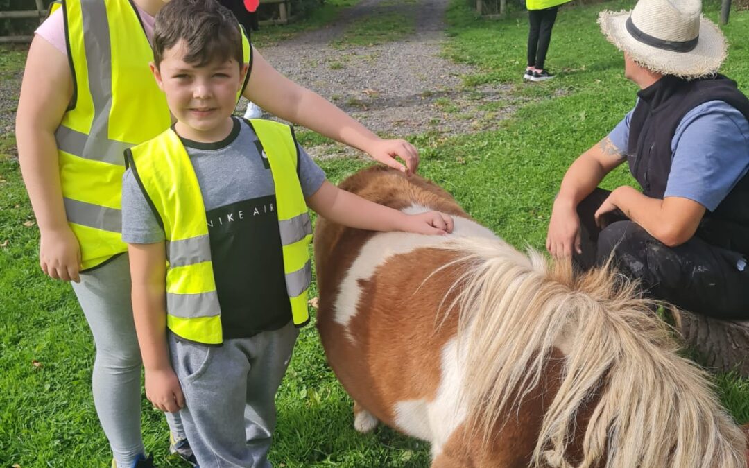 Willaston Farm – Saturday 17th September 2022