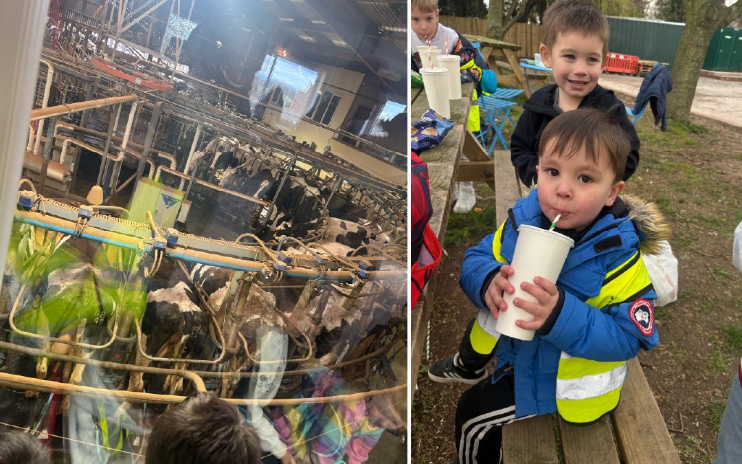 The Wheels on the bus went round and round – Saturday 15th March