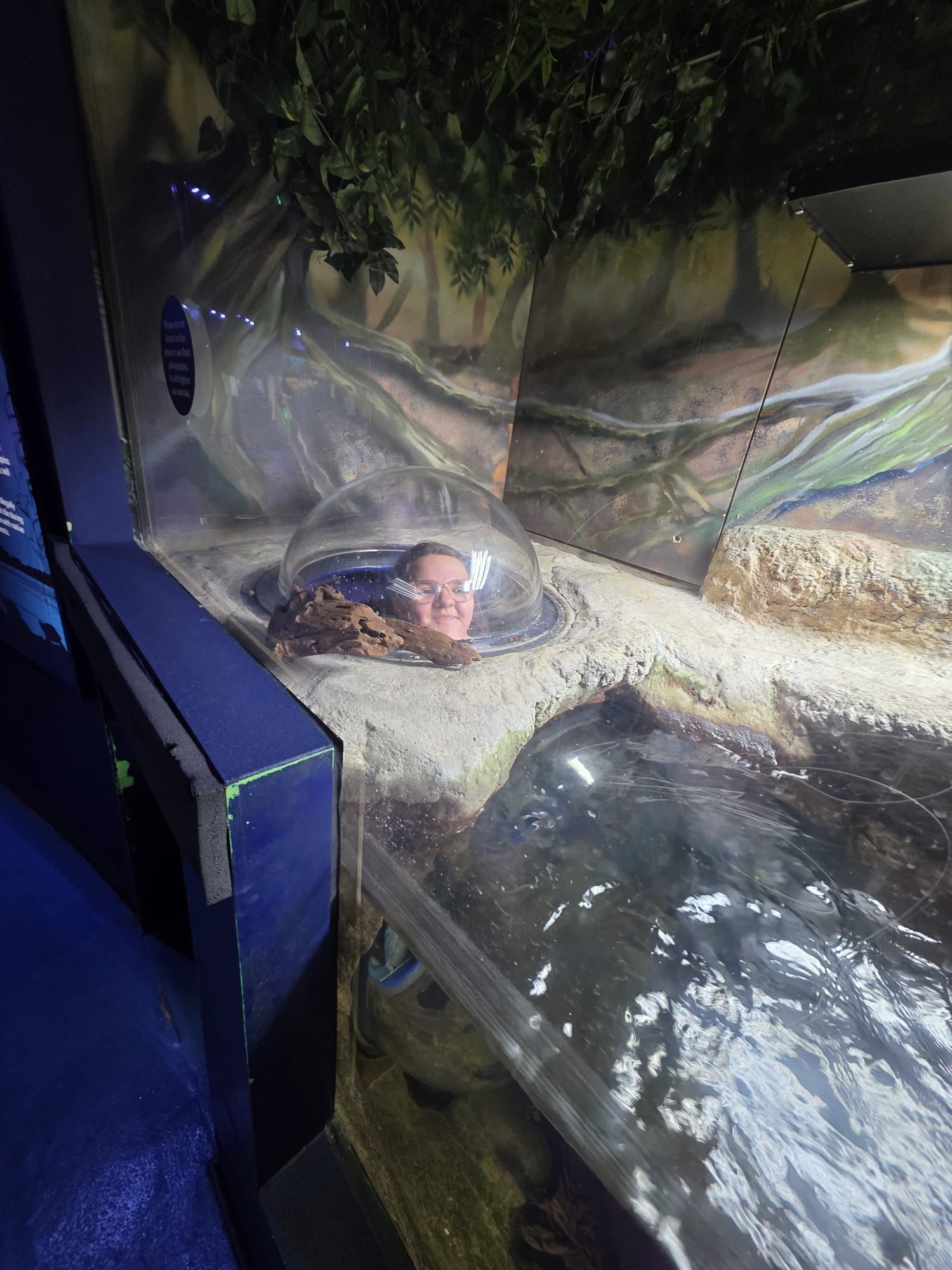 Christmas-Market-and-Liverpool-Museum