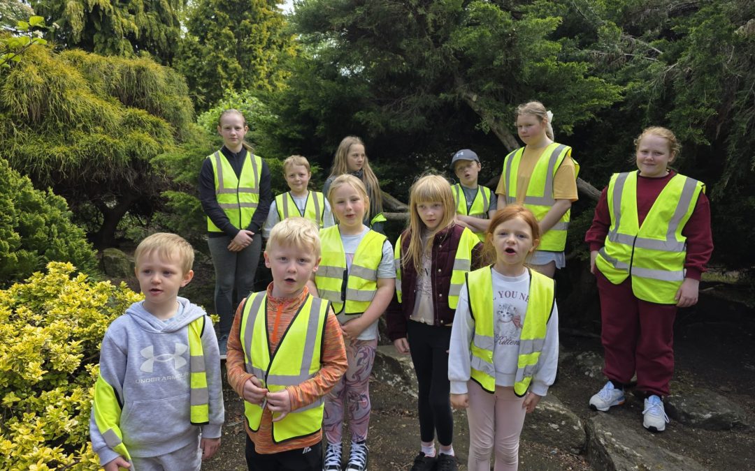 OLLY Session – Calderstones Park, Liverpool (10th May 2026)